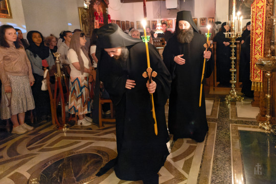 monashenje-2024-084