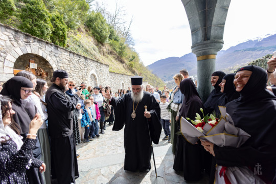 cvetnici-2025-072